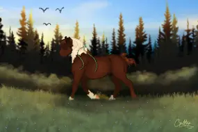 Submission thumbnail