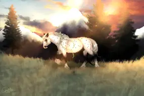 Submission thumbnail